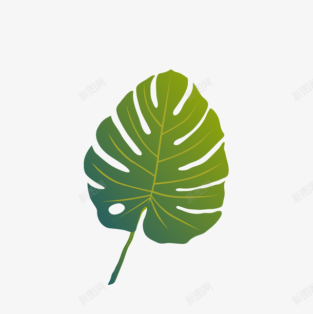 棕榈叶水彩png免抠素材_新图网 https://ixintu.com 夏天 异国情调 手绘 树叶 树木 棕榈叶 棕榈树 植物 水彩 热带 热带棕榈芭蕉叶 热带植物 环境 绘画 自然