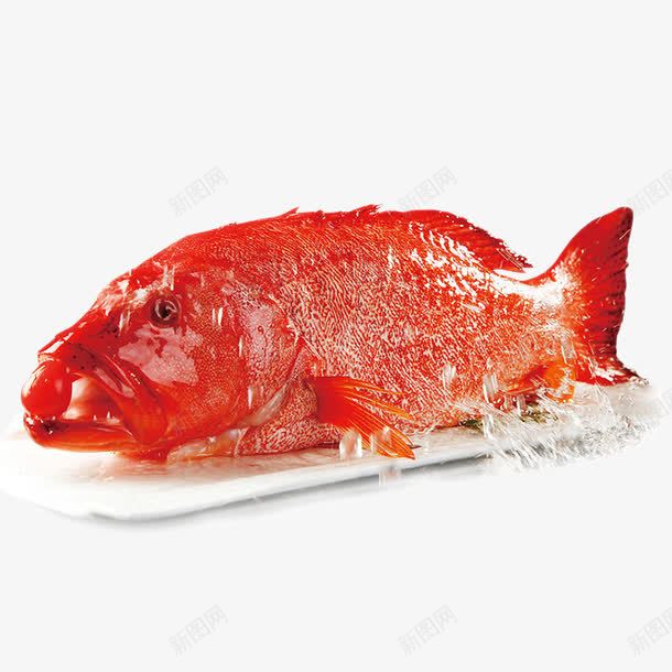 冰镇整条鱼png免抠素材_新图网 https://ixintu.com 产品实物 海鲜 红色 肉类 食物