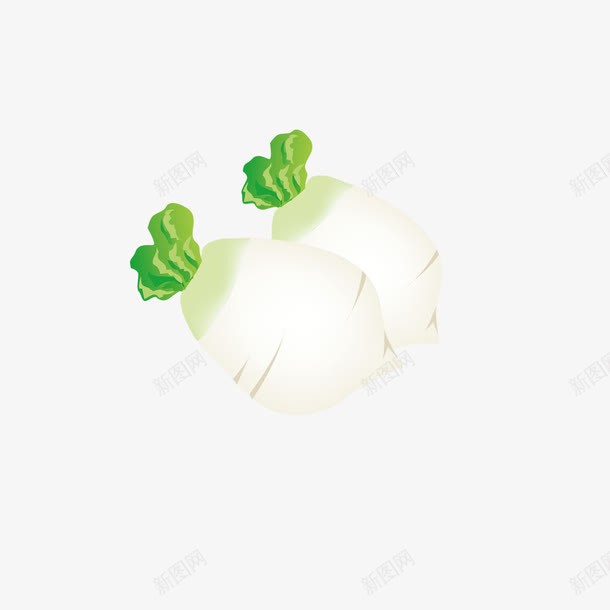 两颗白萝卜png免抠素材_新图网 https://ixintu.com png图形 png装饰 卡通 萝卜 装饰 食物