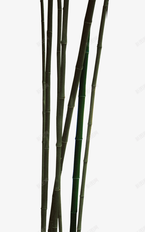 竹竿psd免抠素材_新图网 https://ixintu.com 植物 竹子 竹节