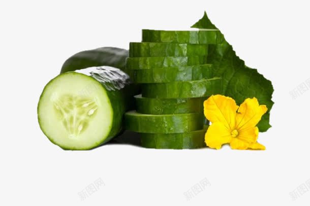 简约可爱美食黄瓜藤图png免抠素材_新图网 https://ixintu.com 健康饮食 绿色蔬菜 绿色饮食 黄瓜片 黄瓜花 黄瓜藤