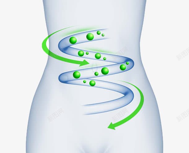 创意女性肠道减肥广告png免抠素材_新图网 https://ixintu.com 减肥茶广告 创意女性肠道减肥广告 女性腰部 小肠 濂虫 灏忚偁 肠道 肠道顺畅 通畅 鍑忚偉鑼跺箍鍛 鍒涙剰濂虫 鑲犻亾 鑲犻亾椤虹晠 閫氱晠