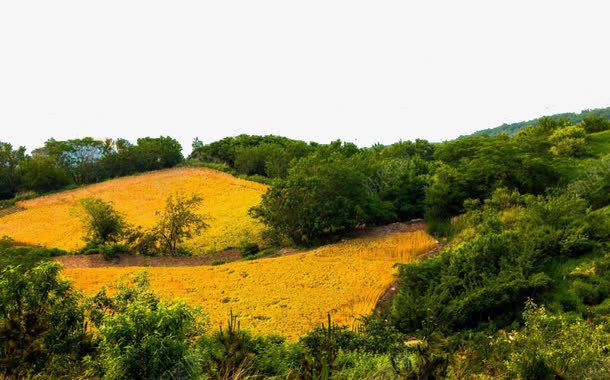 河南始祖山四png免抠素材_新图网 https://ixintu.com 名胜古迹 旅游风景 著名建筑
