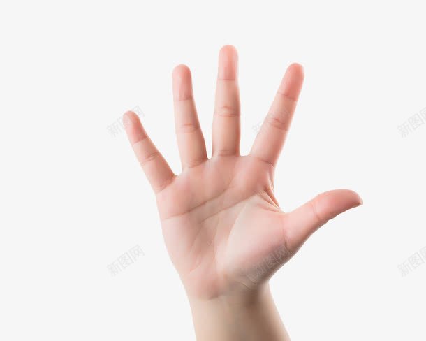 摊开的手掌png免抠素材_新图网 https://ixintu.com 手 手势 手指 手掌