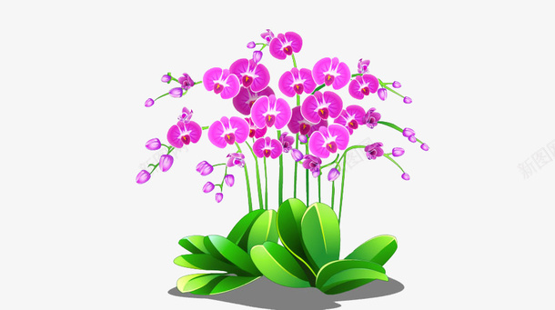 唯美蝴蝶花png免抠素材_新图网 https://ixintu.com 偷菜 栽花 清新唯美 游戏 种花 绿色植物 装饰
