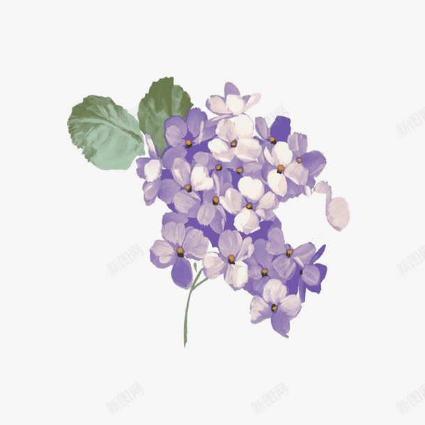 手绘紫色调绣花球png免抠素材_新图网 https://ixintu.com 植物 绣花图片 花卉 鲜花