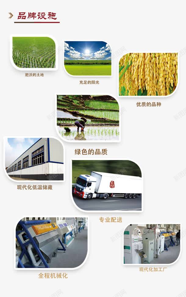 五常大米png免抠素材_新图网 https://ixintu.com 五常大米 企业实力 企业设施 厂房 种水稻
