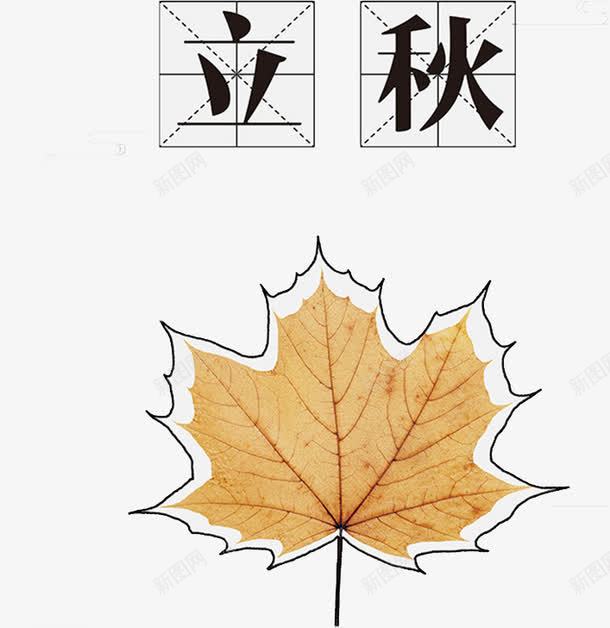 黄色枫叶png免抠素材_新图网 https://ixintu.com 二十四节气 写字方格 四分格 四分格生字本模板 填字格 手绘 方格纸 汉字拼音卡 田字格 立秋 米字格练习本 纹路 落叶 虚线田字格 黄色枫叶
