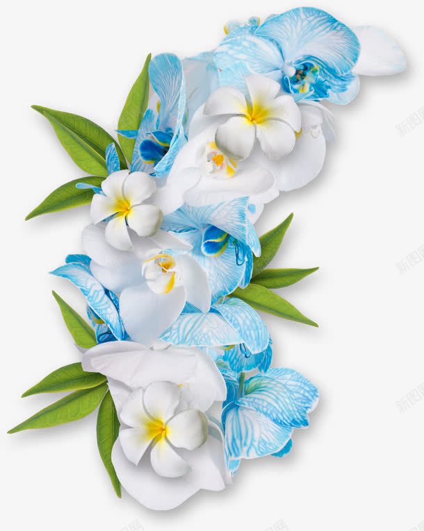 漂亮花叶png免抠素材_新图网 https://ixintu.com 叶子 绿叶 花朵 鲜花