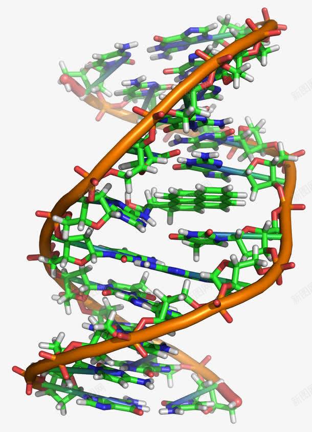 DNApng免抠素材_新图网 https://ixintu.com DNA 医疗 基因元素 科学