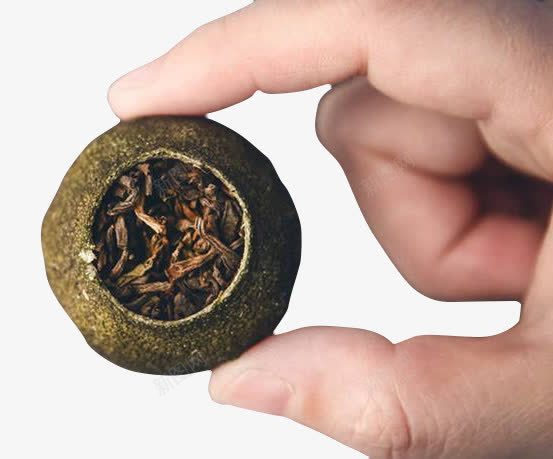手拿小青柑普洱茶png免抠素材_新图网 https://ixintu.com 产品实物 功夫茶 大红柑 小青柑普洱茶 普洱茶 柑普茶 熟茶