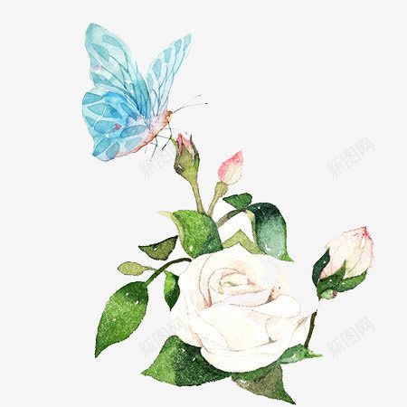 蝴蝶山茶花元素png免抠素材_新图网 https://ixintu.com 元素 山茶花 白茶花 蝴蝶