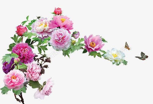 牡丹花花簇装饰png免抠素材_新图网 https://ixintu.com 牡丹花 花香 蝴蝶 鲜花