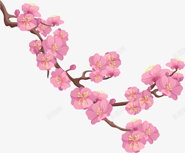 靓丽的梅花png免抠素材_新图网 https://ixintu.com 岁寒三友 松树 梅松竹 梅花 竹子 耐寒植物 靓丽