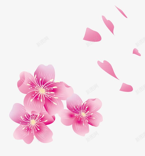 樱花花瓣元素png免抠素材_新图网 https://ixintu.com 樱花 樱花花瓣 矢量花瓣 花瓣元素