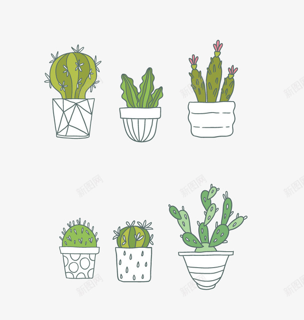 仙人掌合集png免抠素材_新图网 https://ixintu.com 开花 植物 盆栽免费PGN素材 花卉