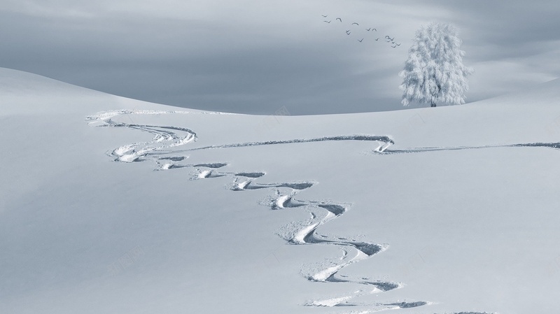 冬天雪景脚印jpg设计背景_新图网 https://ixintu.com 冬天 树 脚印 雪景 雪树枝