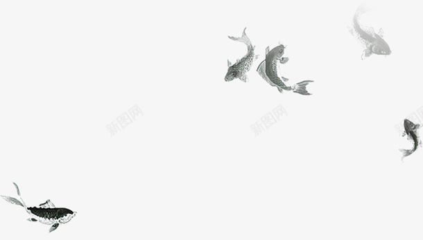 水墨色游鱼png免抠素材_新图网 https://ixintu.com 中国风 怀旧 水墨画 游泳的鱼 鱼