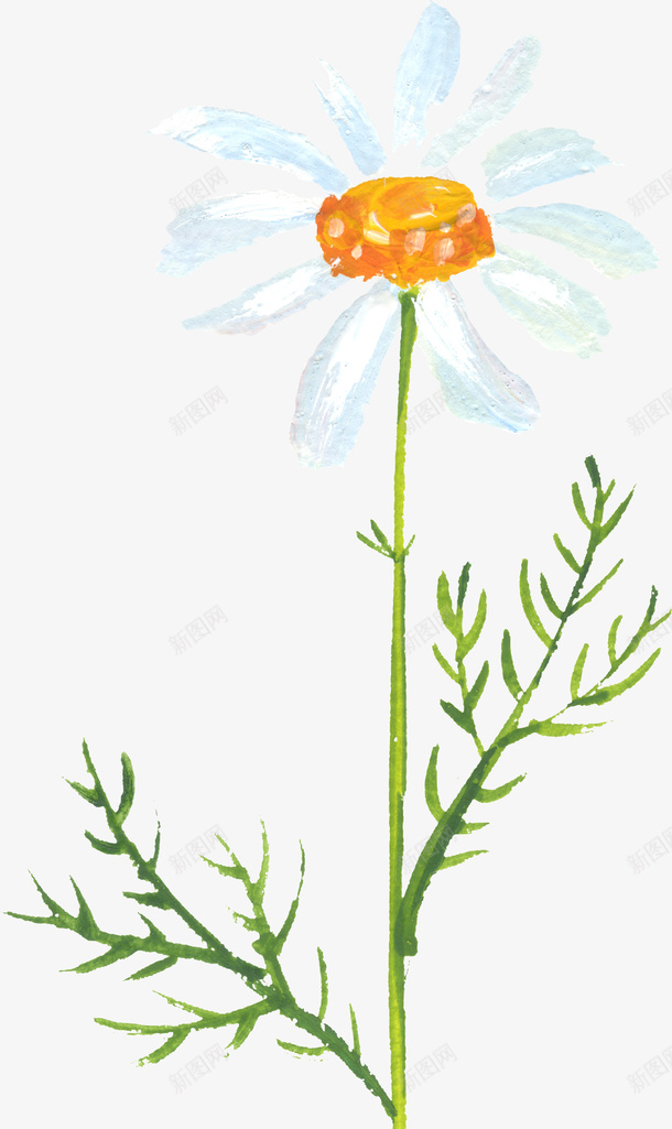 卡通小清新花朵装饰png免抠素材_新图网 https://ixintu.com 动物植物装饰画 小清新 小清新花朵 小清新装饰 沙发背景墙装饰 电视墙装 花朵 装饰画