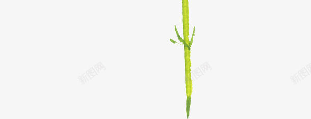 卡通小清新花朵装饰png免抠素材_新图网 https://ixintu.com 动物植物装饰画 小清新 小清新花朵 小清新装饰 沙发背景墙装饰 电视墙装 花朵 装饰画