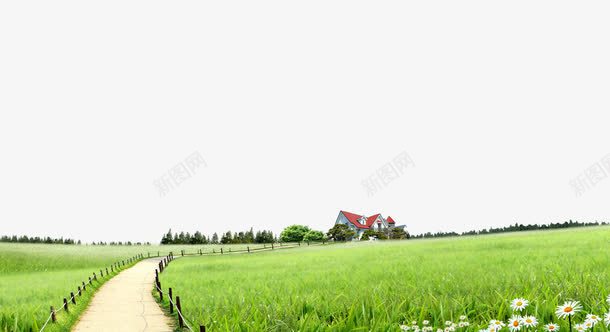 田园别墅草地背景png免抠素材_新图网 https://ixintu.com 住宅 小径 田园风光 稻田 草地 连排别墅