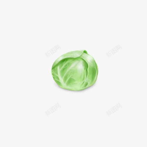 食用蔬菜片png免抠素材_新图网 https://ixintu.com 包菜 有益健康 绿色 蔬菜