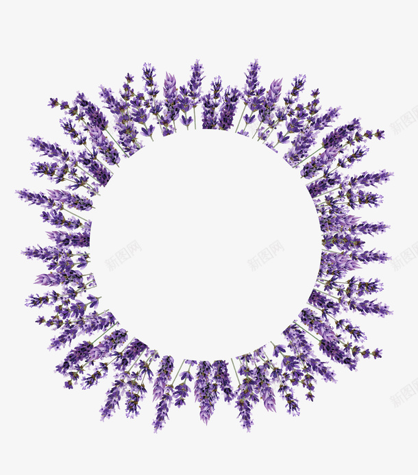 手绘紫色薰衣草花环png免抠素材_新图网 https://ixintu.com 包装设计 小清新包装 布料印花 手绘薰衣草花环 植物花卉 花朵 花朵装饰 花草设计 贺卡设计