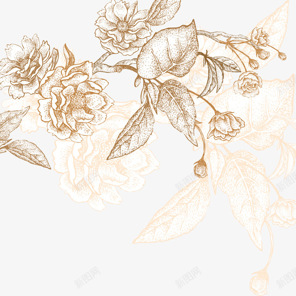 卡通手绘美丽的花卉png免抠素材_新图网 https://ixintu.com 创意 单色 卡通手绘 小花 水彩花卉 美丽的花朵