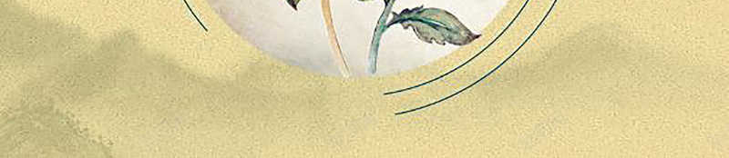 黄色复古中国风重阳节背景psd设计背景_新图网 https://ixintu.com 中国风 传统节日 复古 复古中国风 底纹 节日海报 菊花 重阳节 黄色