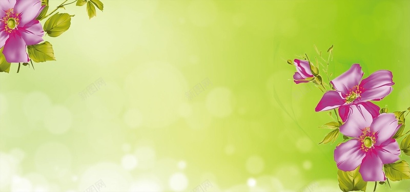 绿色清爽花朵背景psd设计背景_新图网 https://ixintu.com 名片 名片背景 小清新 文艺 海报banner 简约 绿色名片 绿色清爽花朵背景设计 绿色风格 黄绿渐变背景