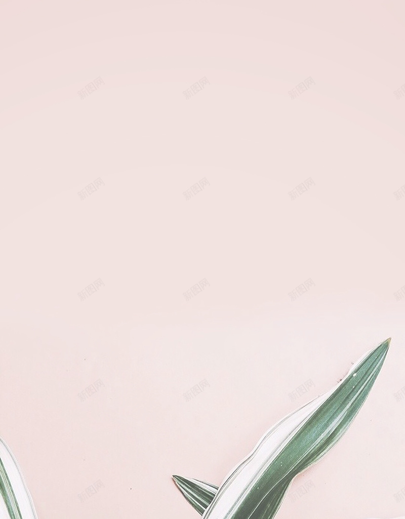 绿色植物小清新粉色贺卡祝福卡片信纸背景jpg设计背景_新图网 https://ixintu.com 信纸背景 卡片背景 明信片 祝福卡片 粉色清新 绿色植物 绿色植物背景 背景清新