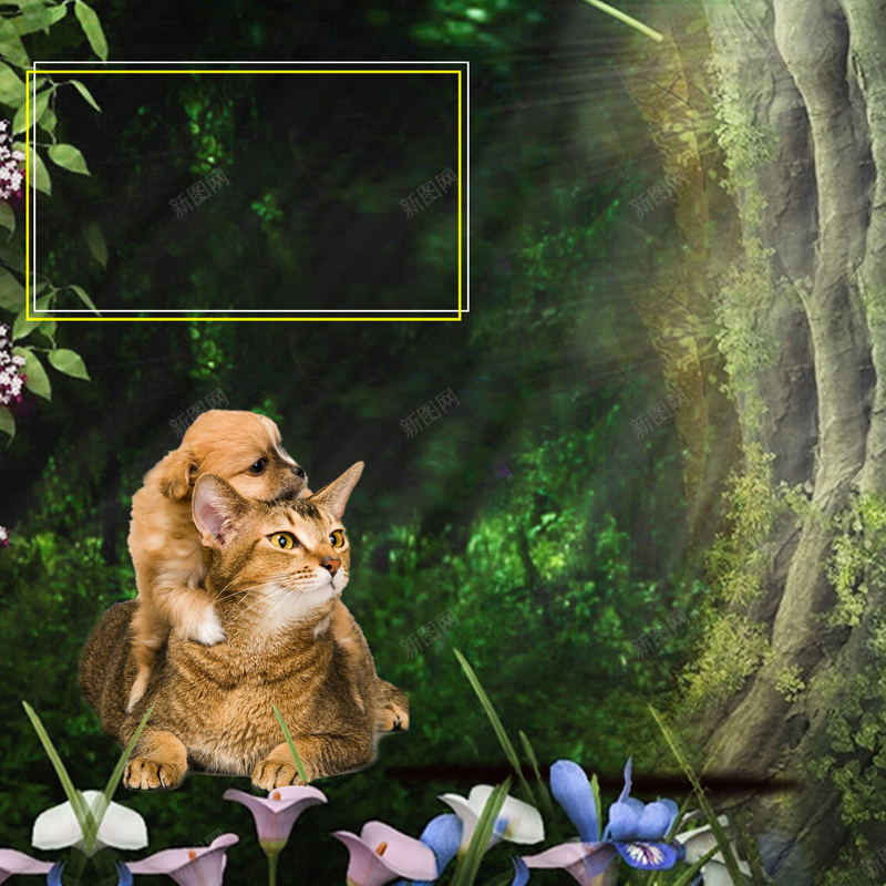 小猫小狗温馨绿色背景psd设计背景_新图网 https://ixintu.com 小狗 小猫 树木 森林 清新 温馨 温馨背景 绿色背景 绿草 背景绿色 花朵 阳光