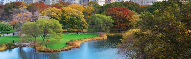 美丽四季如春景色海报背景jpg设计背景_新图网 https://ixintu.com banner 城市 大气 奢华 摄影 楼房 淘宝素材 淡色 简约 素材 都市 风光 高楼大厦 高清
