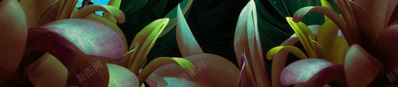 夏日森意森林促销海报psd设计背景_新图网 https://ixintu.com 促销 促销海报 创意 创意海报 夏日 夏日海报 服装 森意 森林 森林背景 植物 绿色 魅力