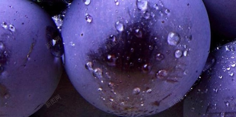 水珠唯美紫色H5背景jpg设计背景_新图网 https://ixintu.com H5 h5 唯美 小清新 彩色 文艺 水珠 灰色 简约 葡萄 静物