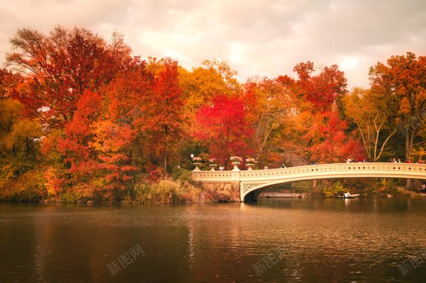 枫叶成熟秋日浪漫jpg设计背景_新图网 https://ixintu.com 成熟 枫叶 浪漫 秋日