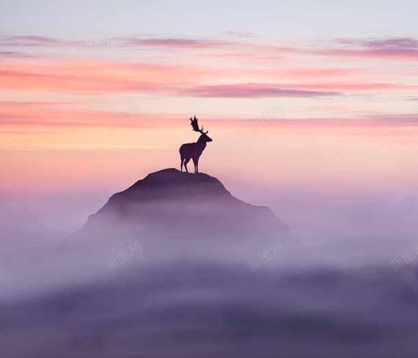 唯美梦幻云中的麋鹿jpg设计背景_新图网 https://ixintu.com 梦幻 麋鹿