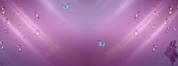 香水紫色梦幻水珠背景bannerjpg设计背景_新图网 https://ixintu.com banner 梦幻 水珠 紫色 背景 蝴蝶 香水