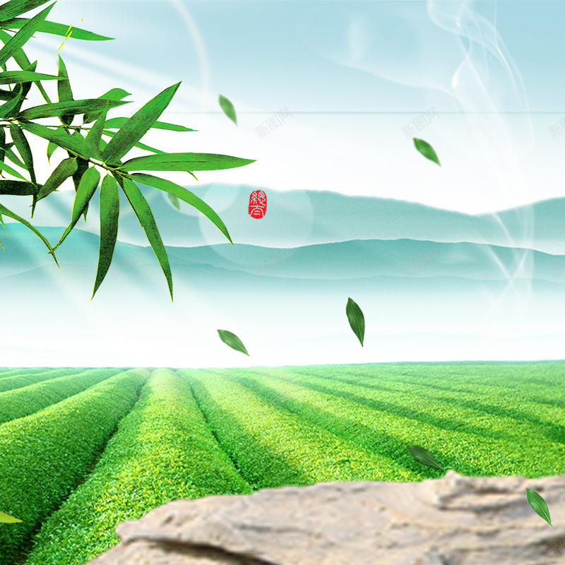 清新绿色茶园茶叶主图jpg设计背景_新图网 https://ixintu.com 主图 清新 直通车 绿叶 绿色 绿茶 茶叶 茶园 龙井
