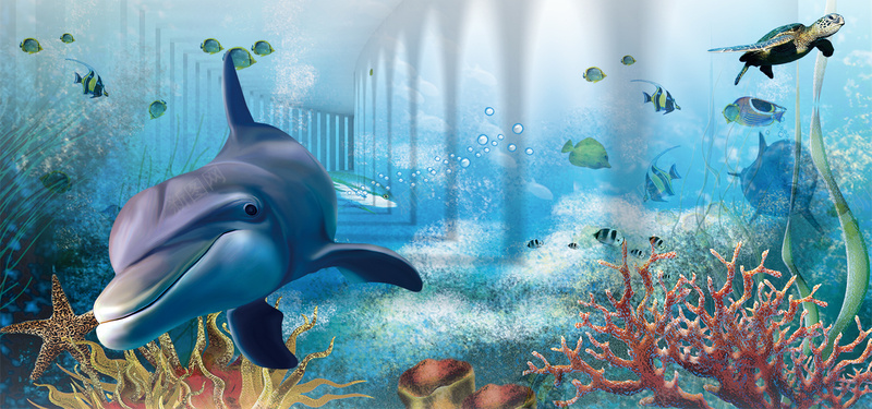 夏天童趣蓝色水族馆海报背景psd设计背景_新图网 https://ixintu.com 夏日游玩 旅游 水下世界 水族馆 沙湖 海底世界 海洋世界 海洋馆 海豚 海龟 金鱼 鱼 鲨鱼