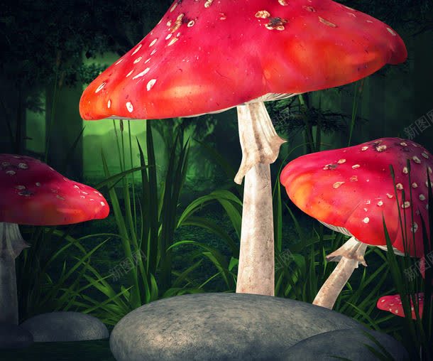 森林中的红色蘑菇jpg设计背景_新图网 https://ixintu.com 其它类别 图片素材 森林 森林中的红色蘑菇图片 森林中的红色蘑菇图片素材下载 石头 红色 背景图案 背景花边 蘑菇 食物