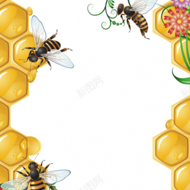 蜂蜜产品背景图背景