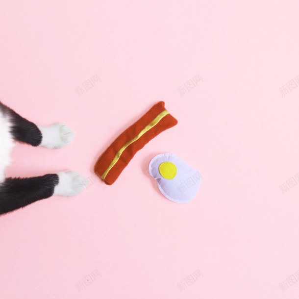 黑猫和布玩具海报背景jpg设计背景_新图网 https://ixintu.com 海报 玩具 背景