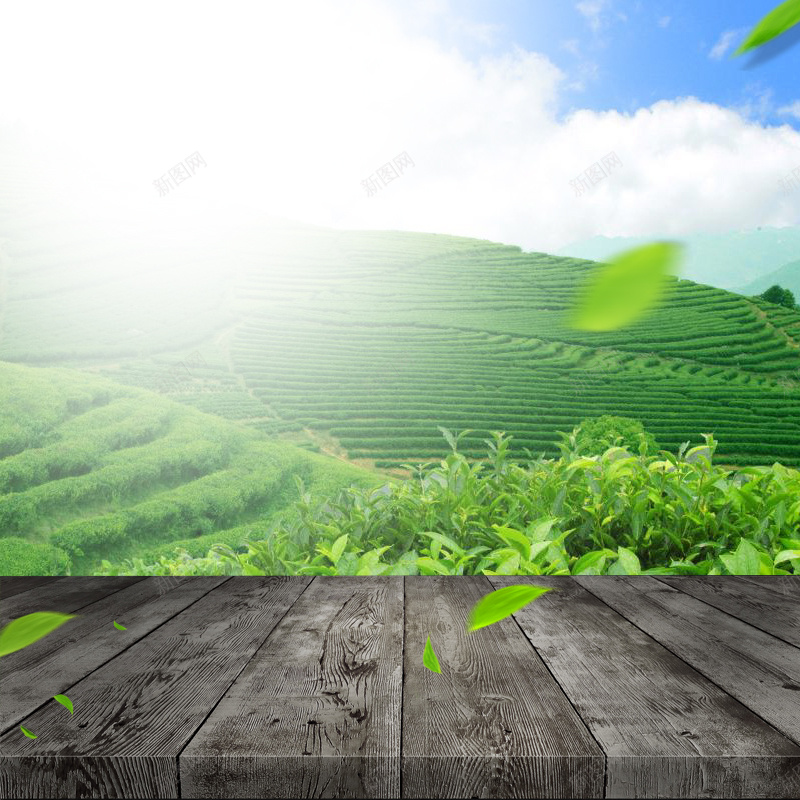 绿色茶园茶叶PSD分层主图背景psd设计背景_新图网 https://ixintu.com 主图 木板 淘宝 直通车 绿色背景 自然背景 茶 茶叶 茶叶背景 茶园背景