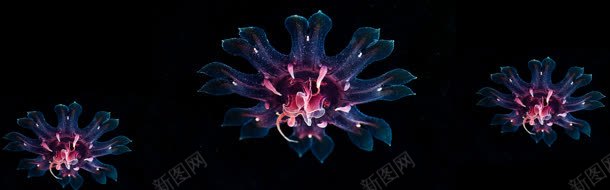 水母大气海报背景jpg设计背景_新图网 https://ixintu.com banner 城市 大气 奢华 摄影 楼房 淘宝素材 淡色 简约 素材 都市 风光 高楼大厦 高清