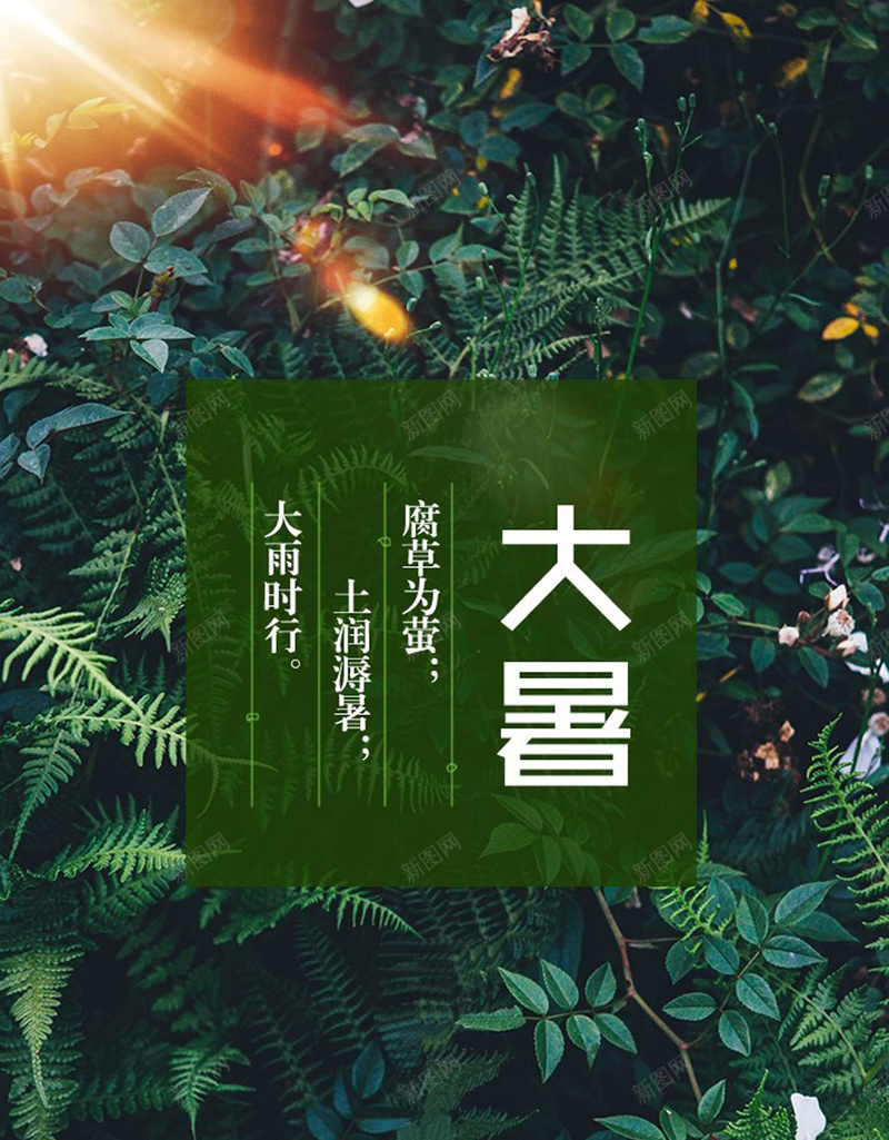 夏季大暑风景背景图