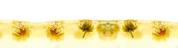 菊花花茶背景bannerjpg设计背景_新图网 https://ixintu.com banner 背景 花茶 菊花