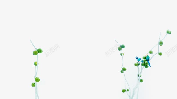 纯色背景绿色装饰元素背景jpg设计背景_新图网 https://ixintu.com 元素 素材 绿色 背景 装饰