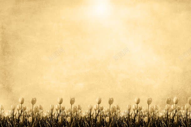 美丽郁金香鲜花背景jpg高清背景_新图网 https://ixintu.com 其它类别 图片素材 底纹背景 底纹边框 怀旧纸张背景 美丽郁金香鲜花背景图片 美丽郁金香鲜花背景图片素材下载 背景花边 花卉植物 花朵 郁金香花朵 鲜花背景