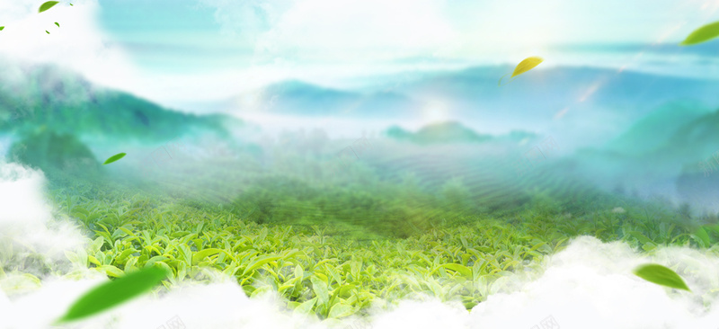 春茶上新清新淘宝海报背景psd设计背景_新图网 https://ixintu.com 品茶 新茶上市 春季 春季春茶 春茶上新 清新 绿色 茶叶 茶园 茶壶